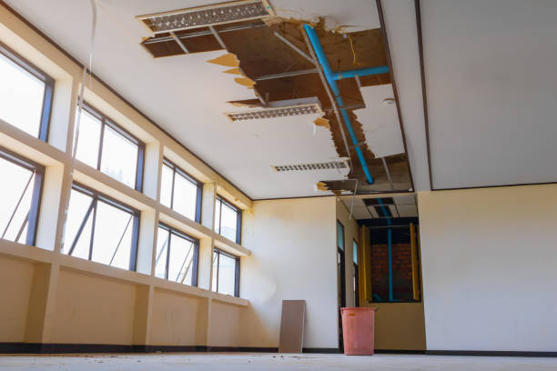 Best Water damage restoration services  in Wenona, IL