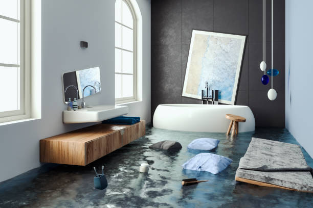 Best Basement water damage restoration  in Wenona, IL