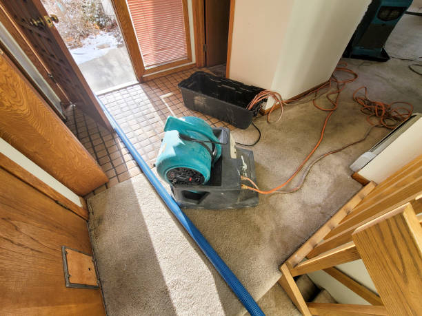 Best Flooded house restoration  in Wenona, IL