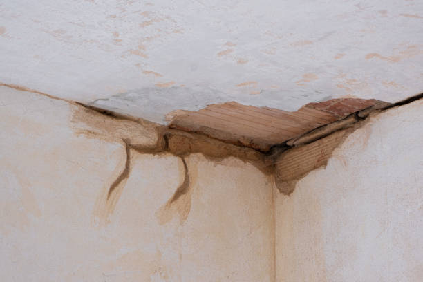 Water damage restoration insurance claims in IL