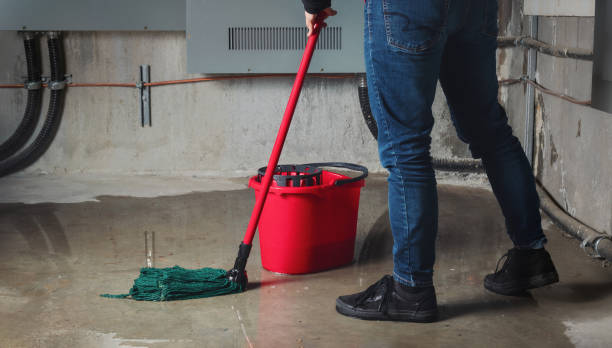 Best 24/7 water damage repair  in Wenona, IL