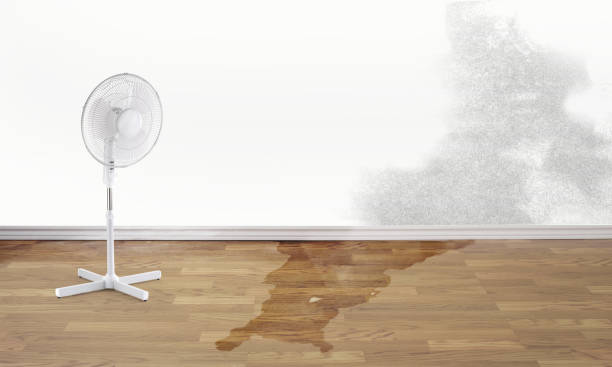 Best Emergency water damage restoration  in Wenona, IL