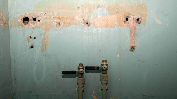 Best 24-hour water damage restoration  in Wenona, IL