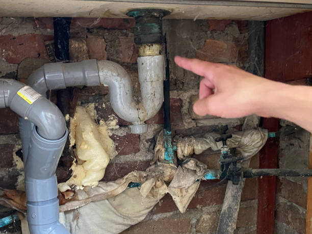 Best Water damage restoration company  in Wenona, IL