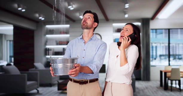 Best Professional water damage repair  in Wenona, IL